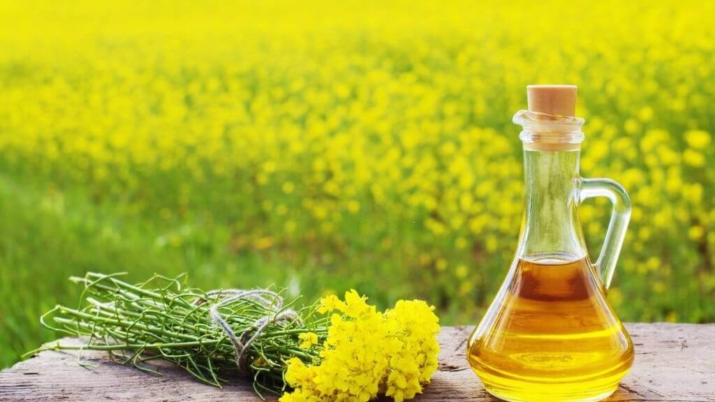 Oil