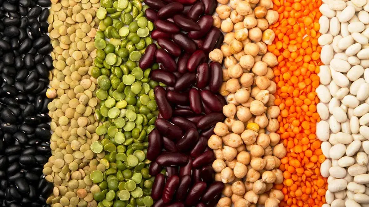 Pulses