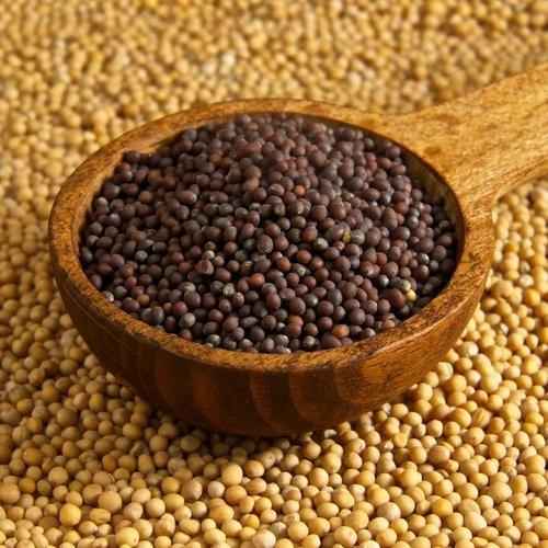 Agro Mustard Seeds